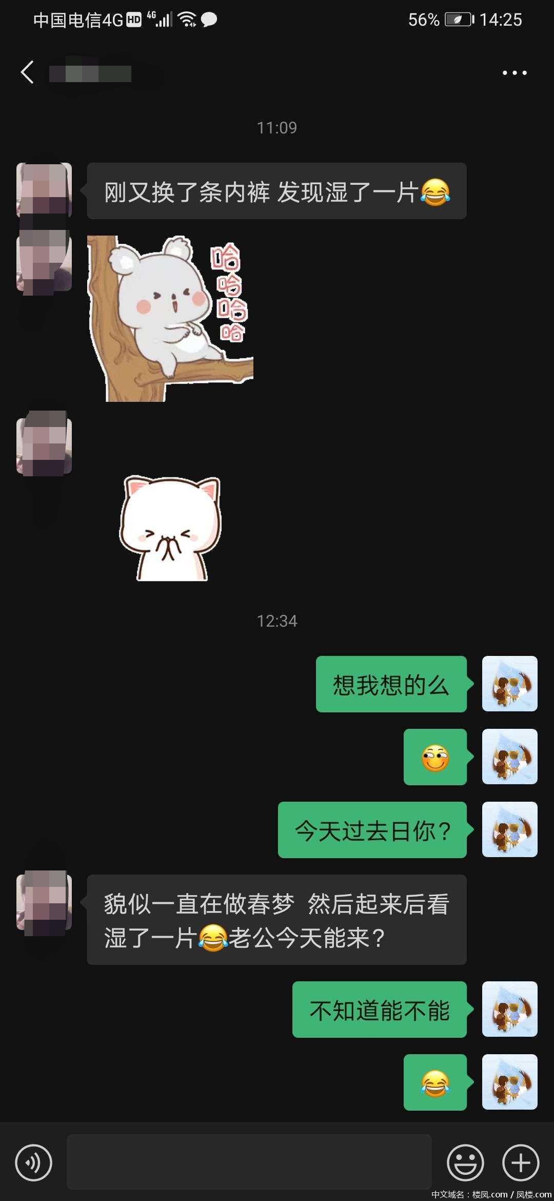 nm7d2v.jpg